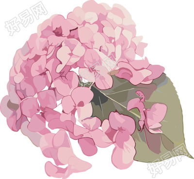 水彩绣球花装饰元素