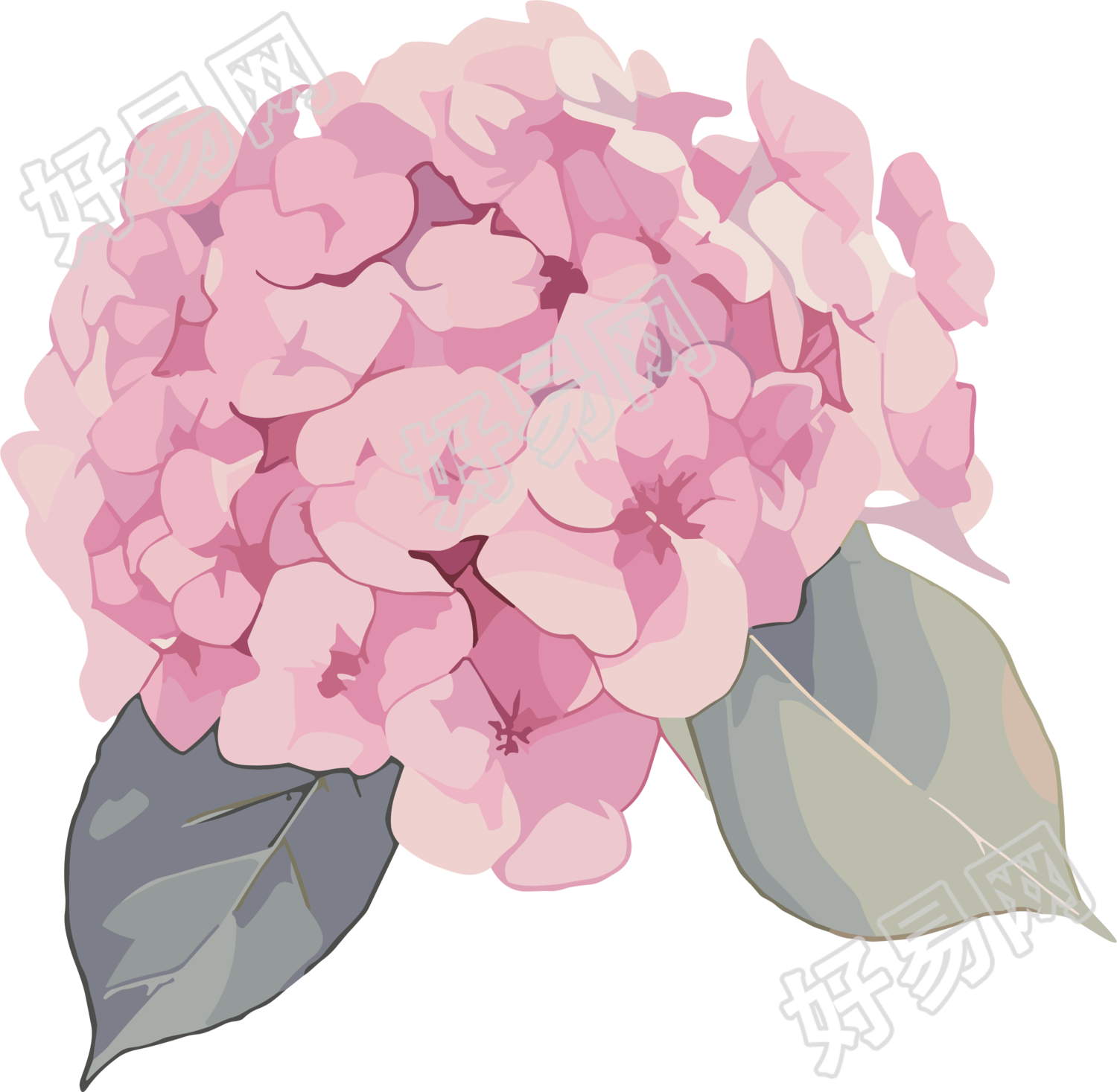 水彩绣球花装饰素材
