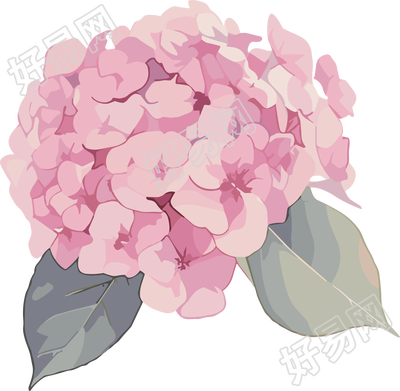 水彩绣球花装饰素材