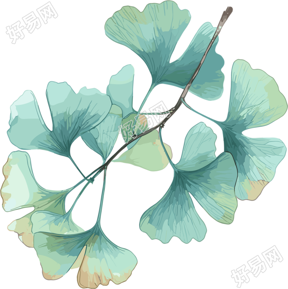 水彩银杏叶唯美插画