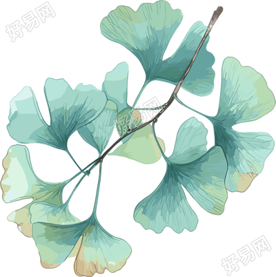 水彩银杏叶唯美插画