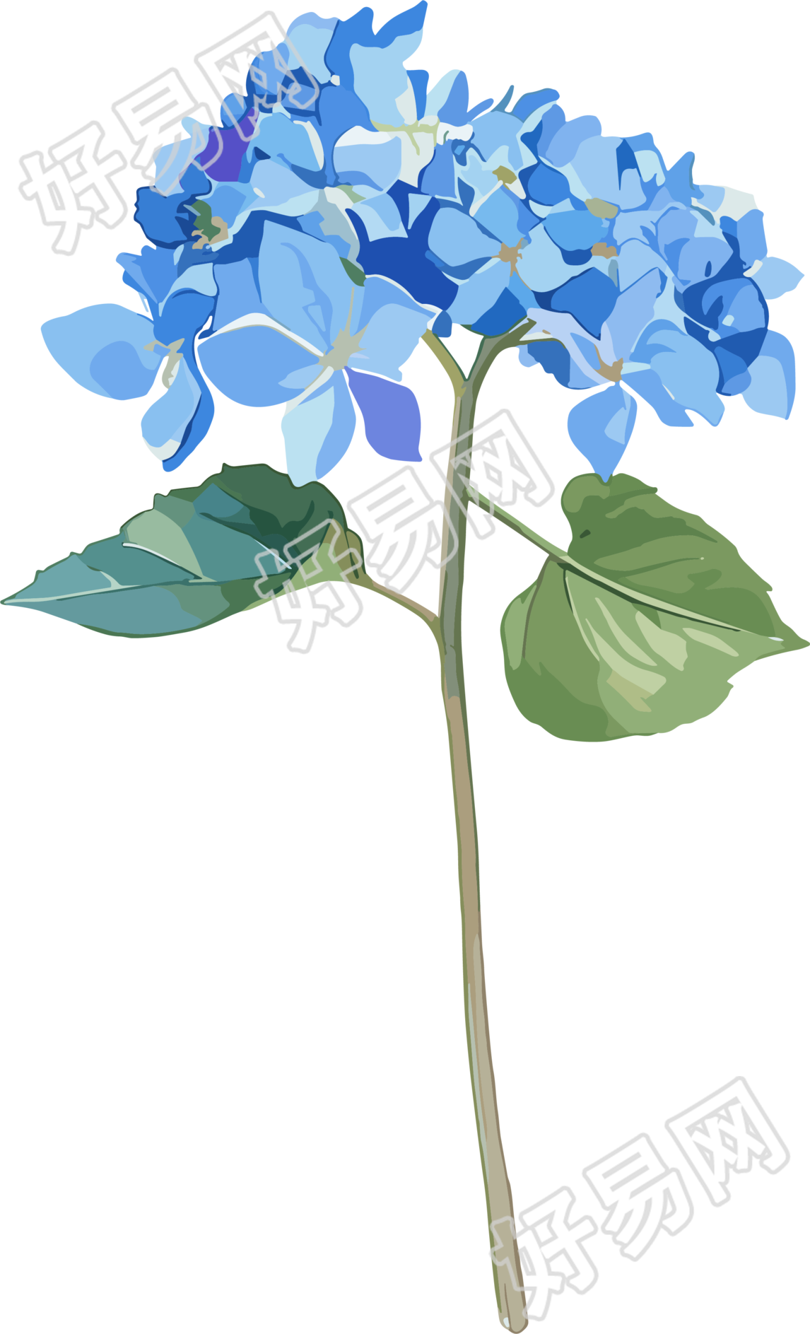 水彩绣球花唯美元素