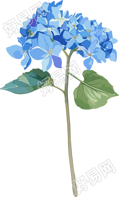 水彩绣球花唯美元素