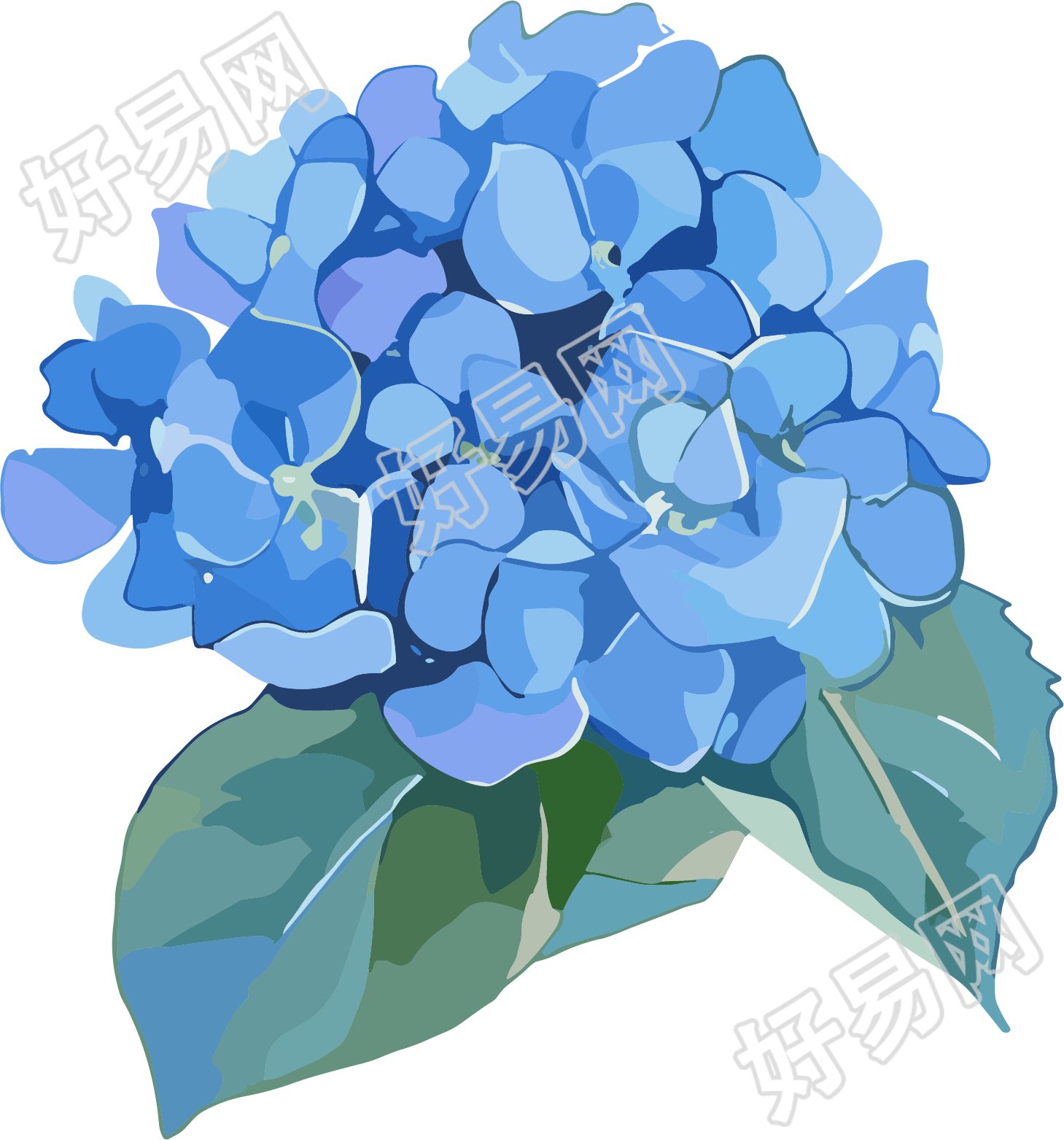 水彩绣球花创意素材