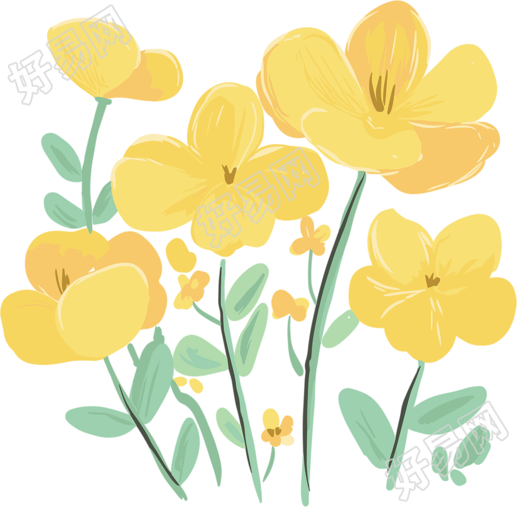 黄色小花水彩元素