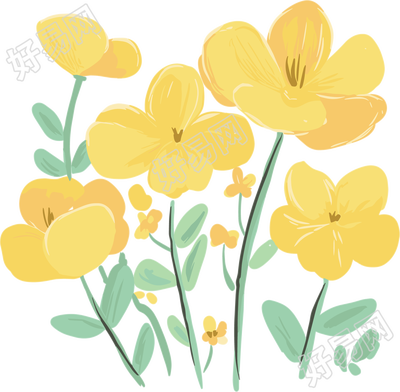 黄色小花水彩元素