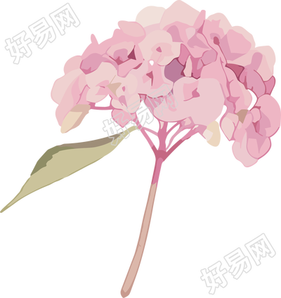 水彩绣球花PNG粉色插画