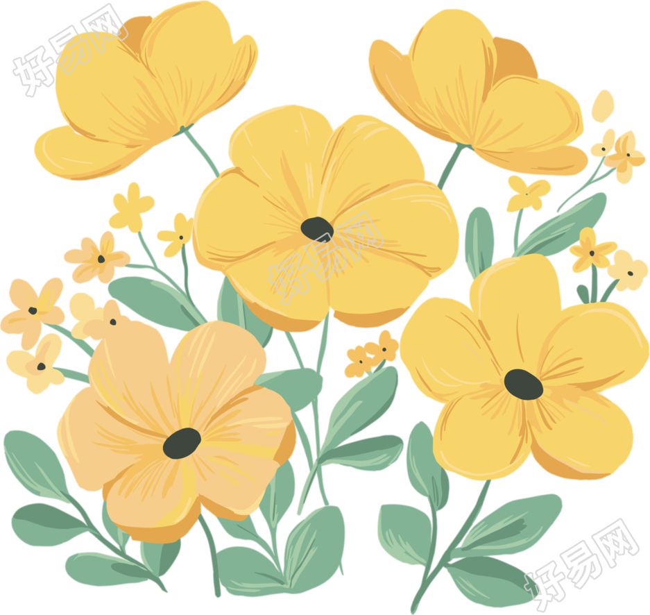 黄色小花水彩插图
