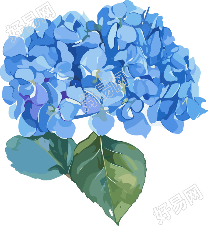 水彩绣球花商业设计元素