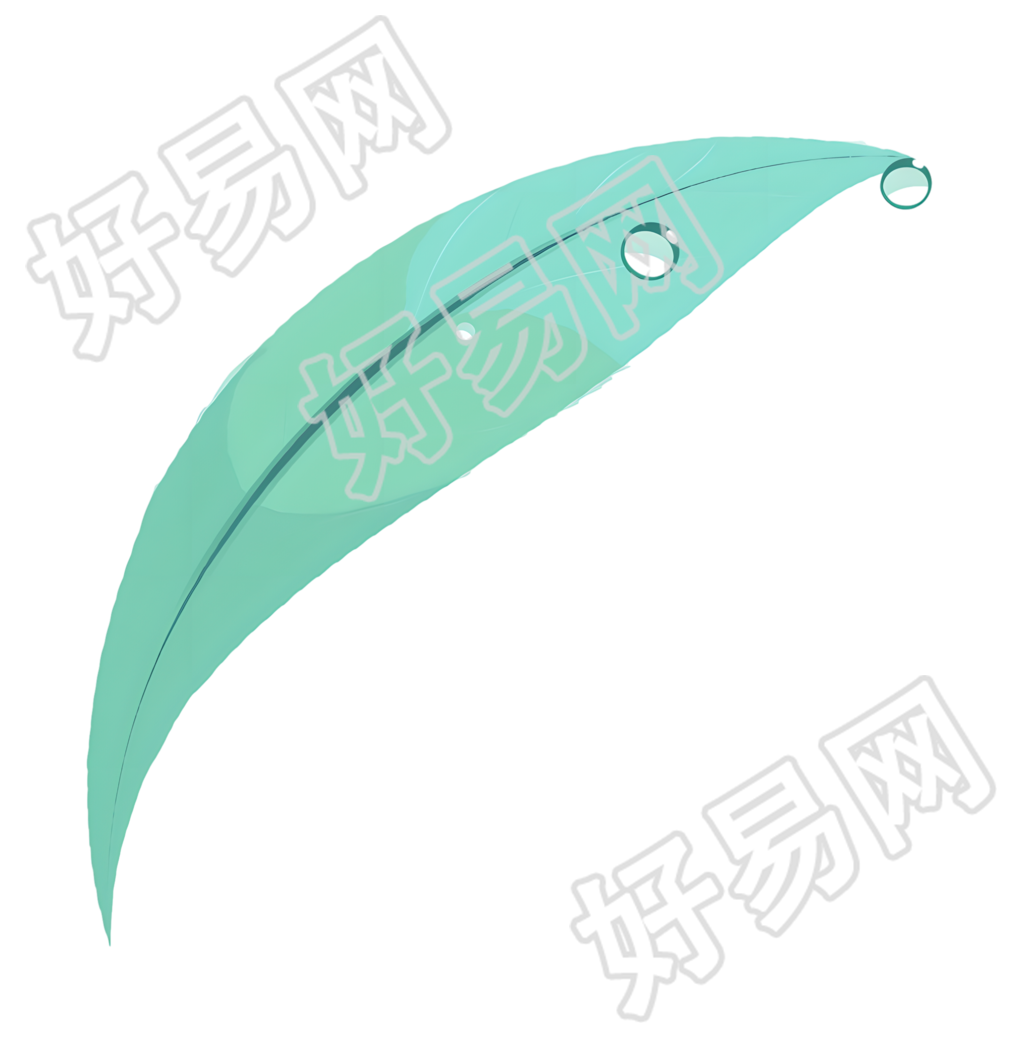 叶片露水插画