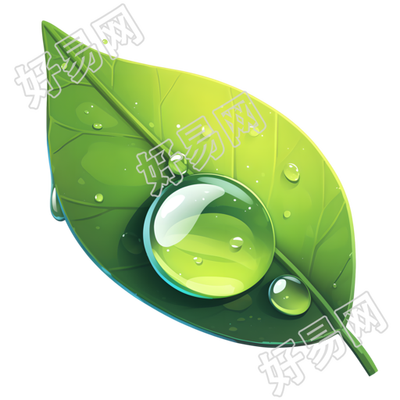 叶片露水插图