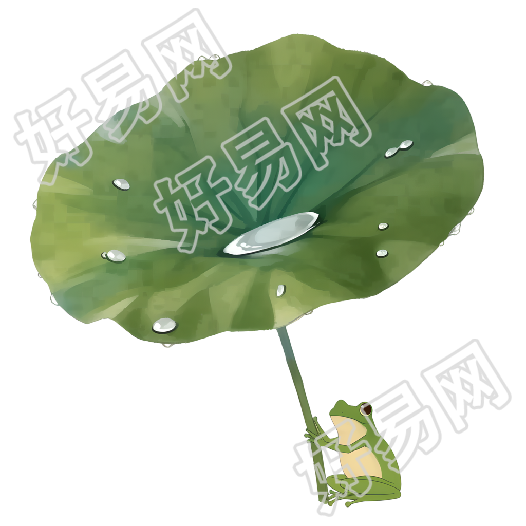 小青蛙荷叶露水插图