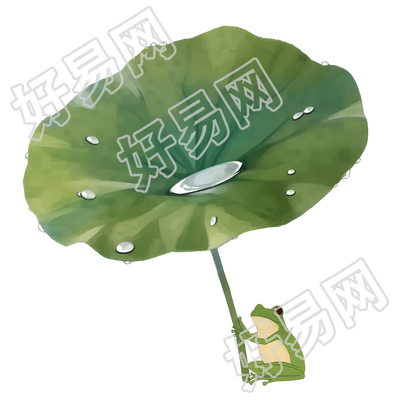 小青蛙荷叶露水插图