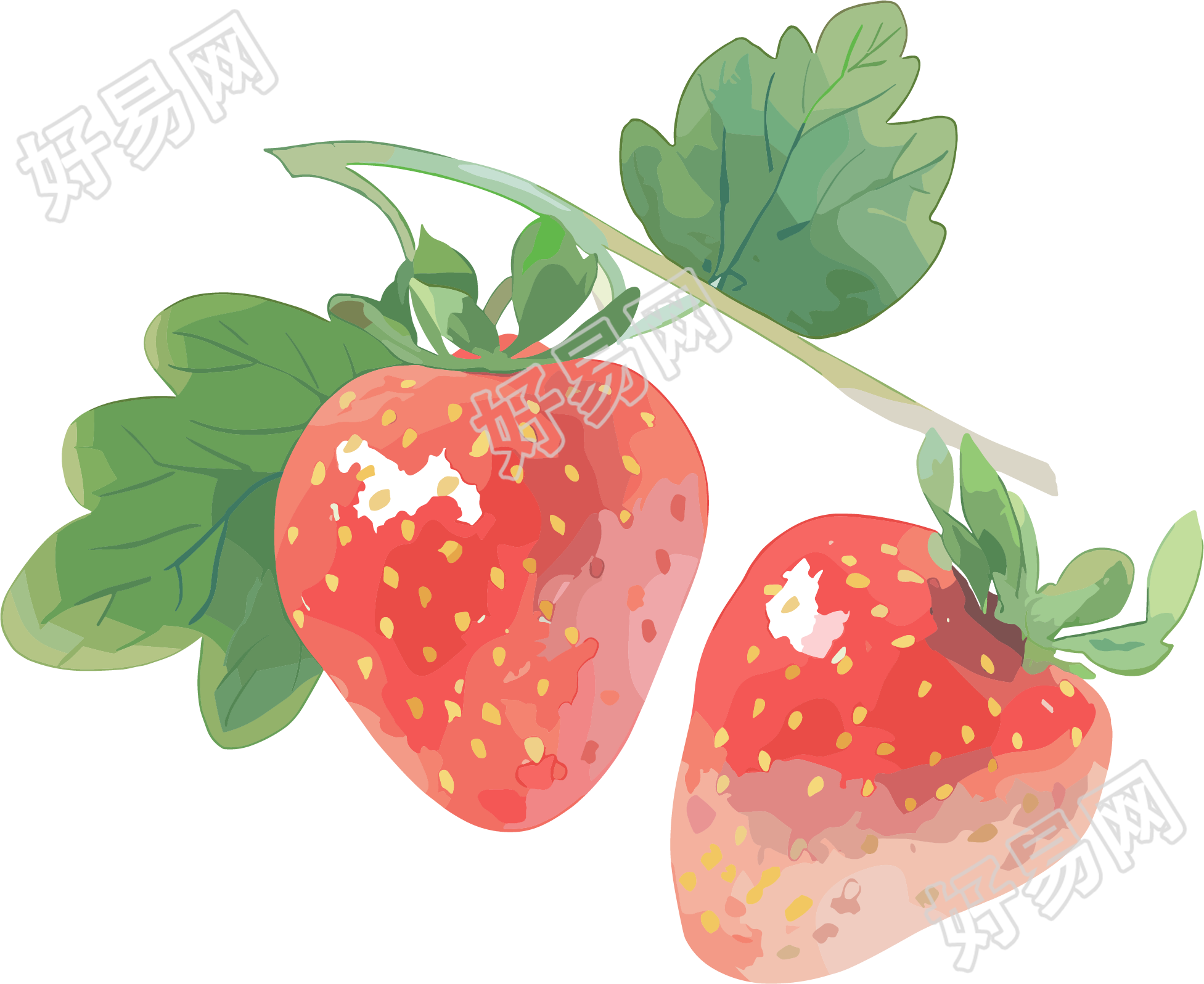 草莓水彩创意素材