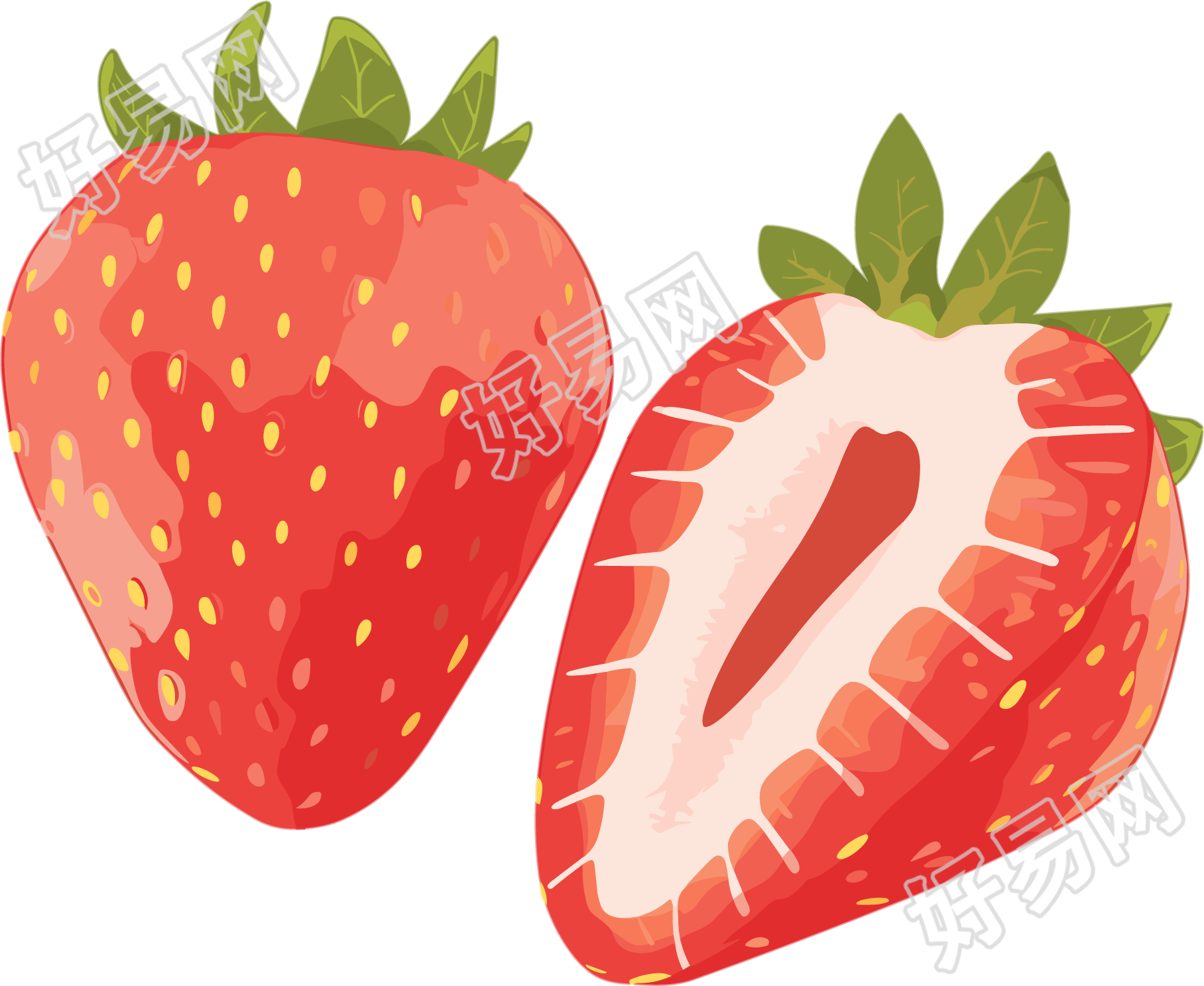 草莓水彩商用插图