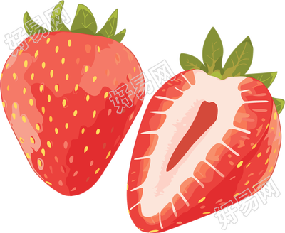 草莓水彩商用插图