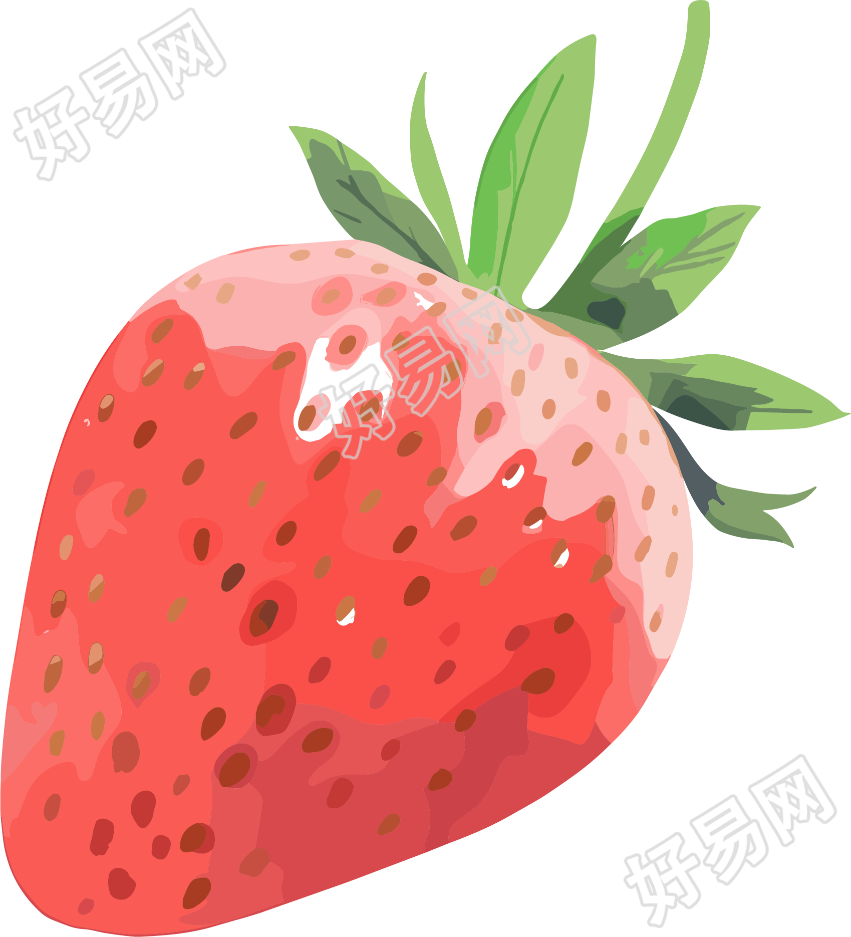 草莓水彩高清插图