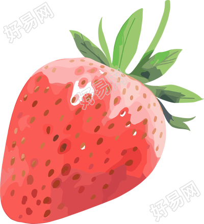 草莓水彩高清插图