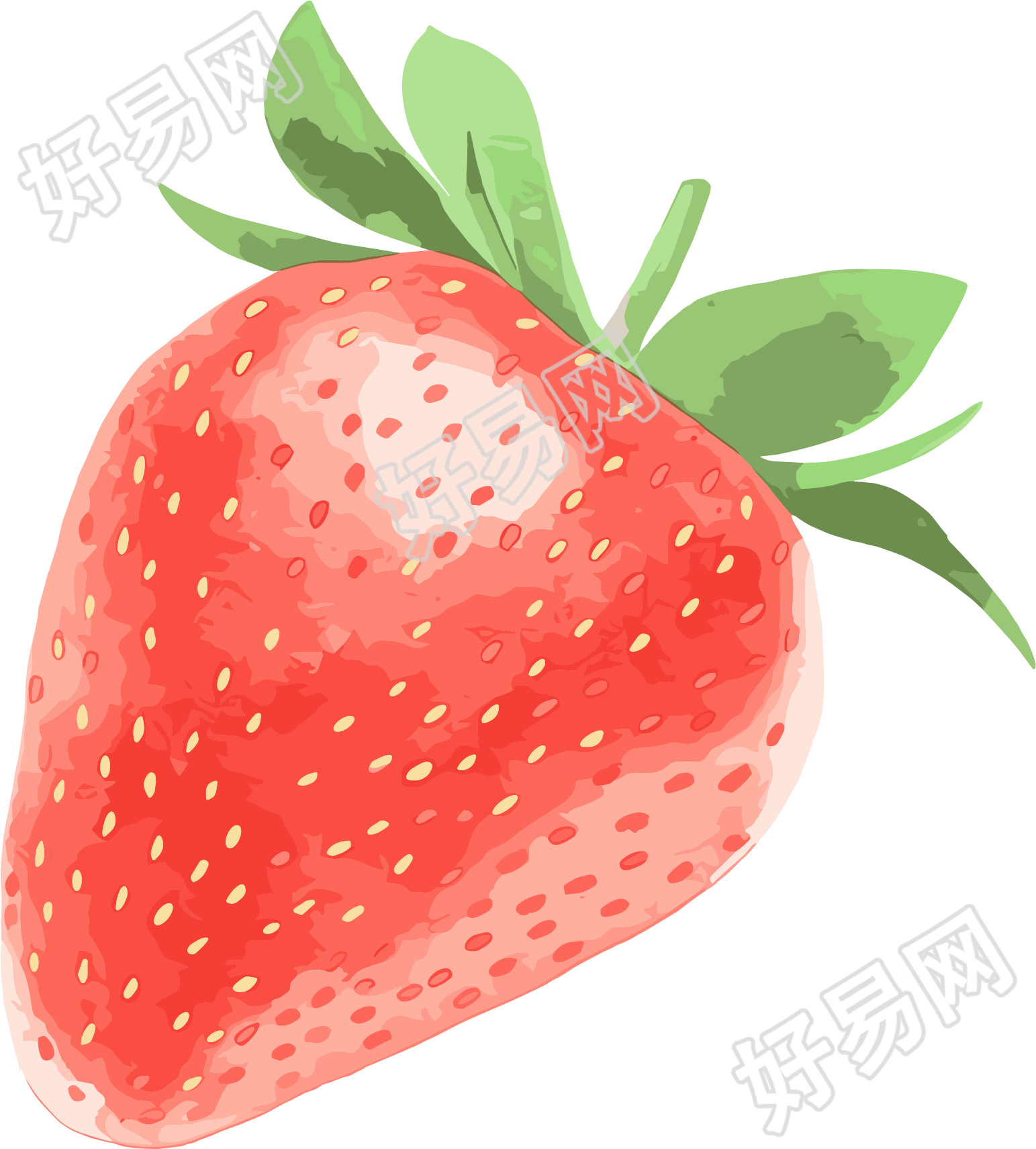 草莓商业设计元素