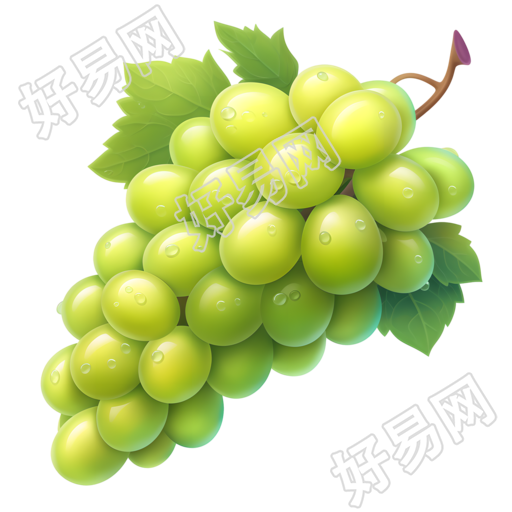 葡萄PNG商用素材