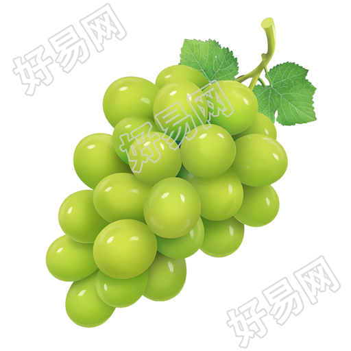 葡萄手绘风格元素