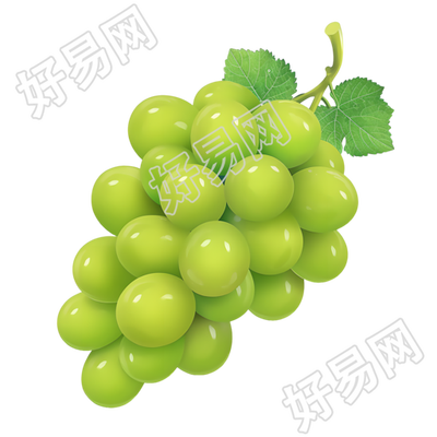 葡萄手绘风格元素
