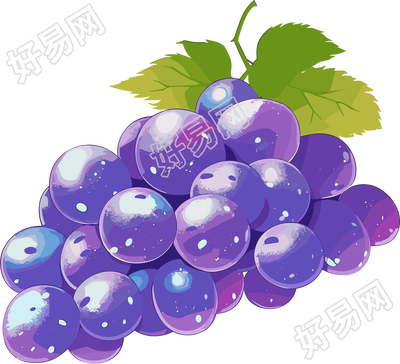 紫色葡萄元素