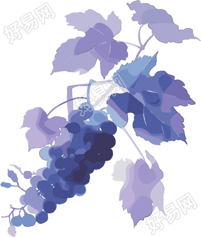 葡萄水彩风格元素