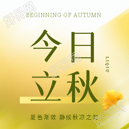 今日立秋简约光影微信公众号次图