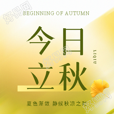 今日立秋简约光影微信公众号次图