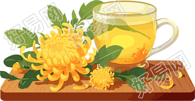 菊花茶插画素材