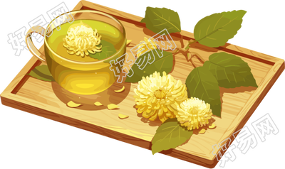 菊花茶图形素材