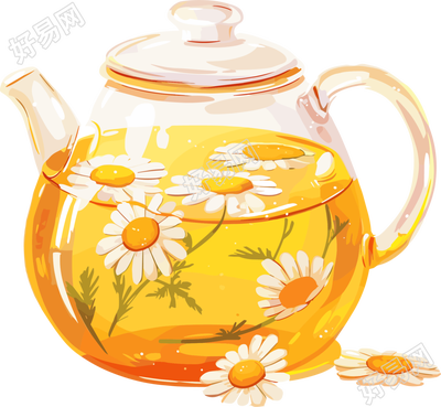 菊花茶可商用插画