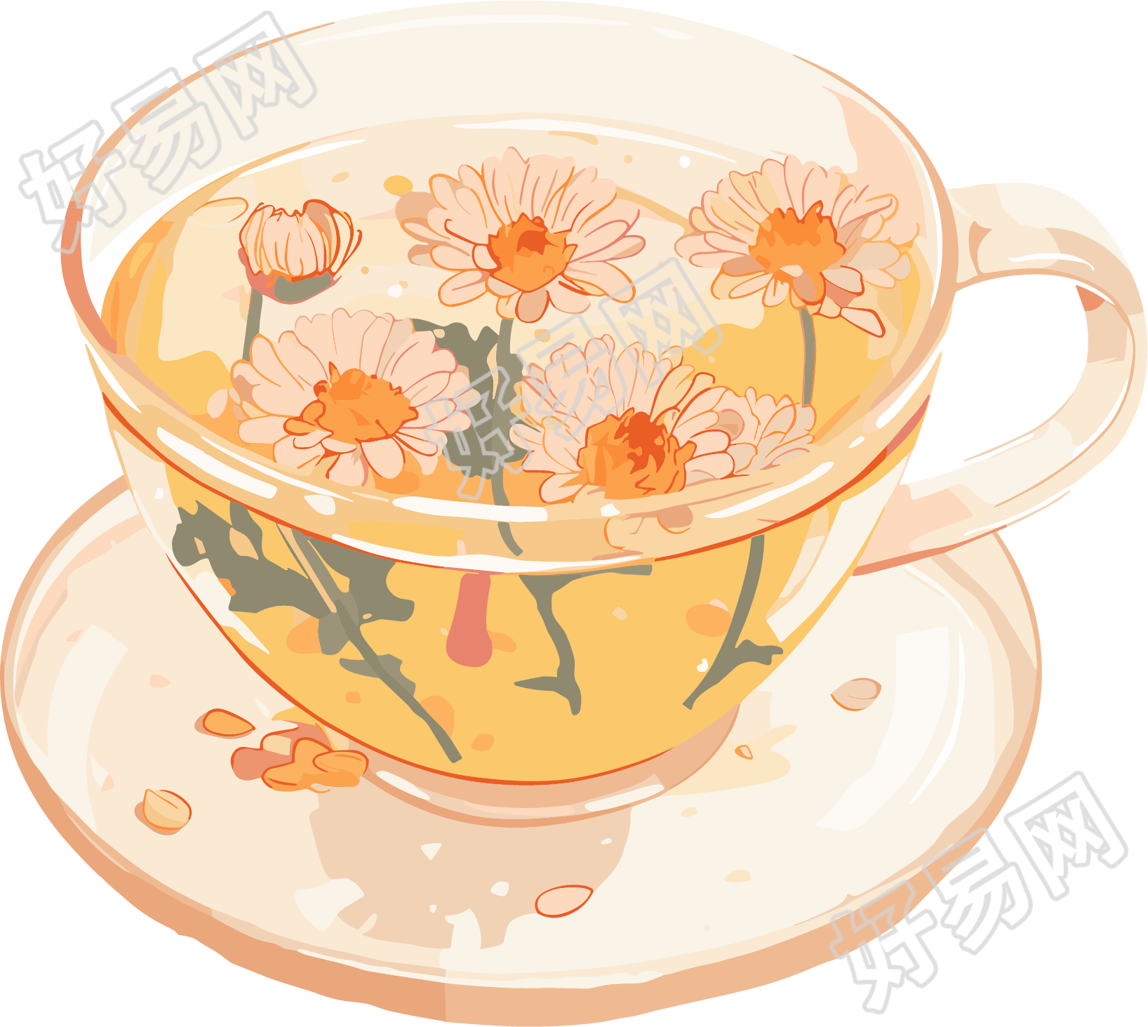 菊花茶高清质量素材