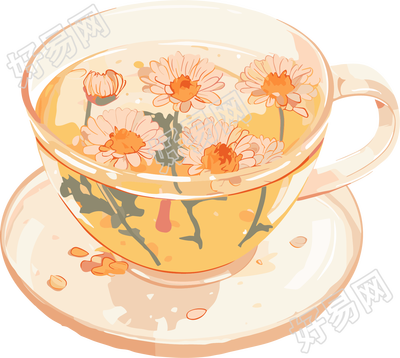 菊花茶高清质量素材