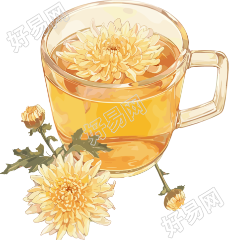 菊花茶卡通素材