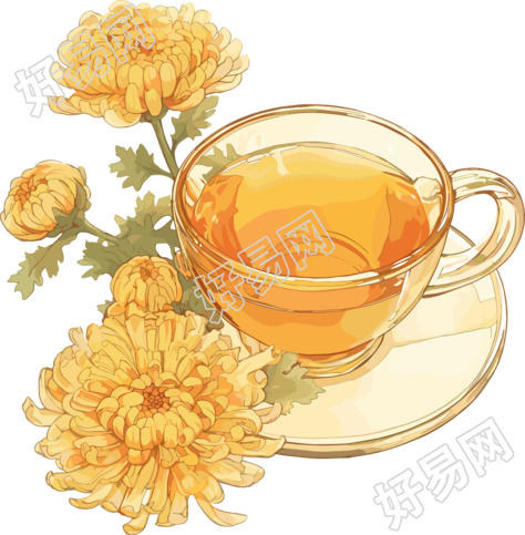 菊花茶高清插图