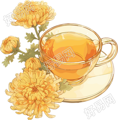 菊花茶高清插图