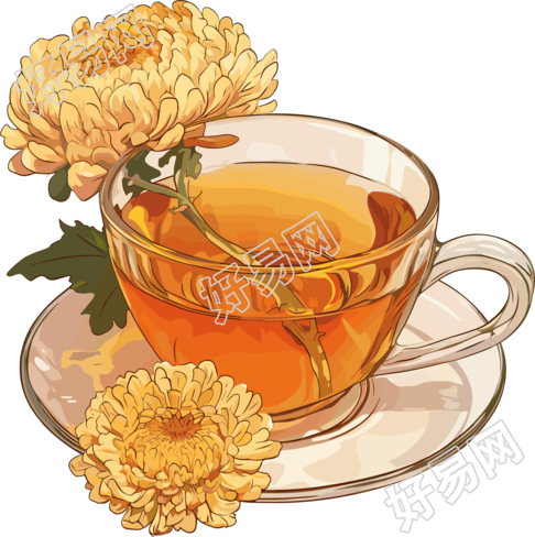 菊花茶商业插画