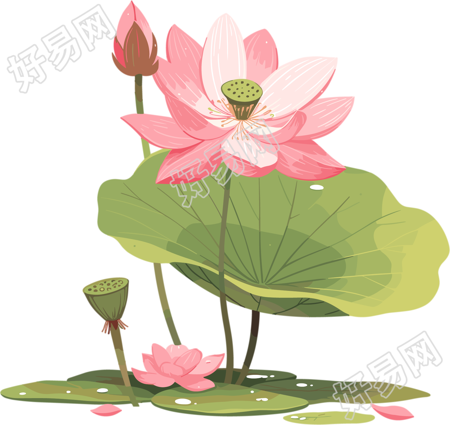 莲蓬商业设计素材