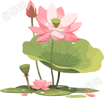 莲蓬商业设计素材