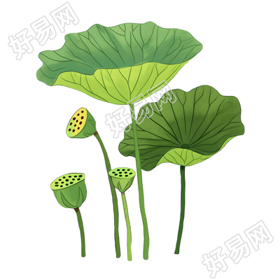 莲蓬可商用元素