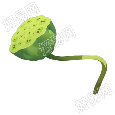 莲蓬极简插画