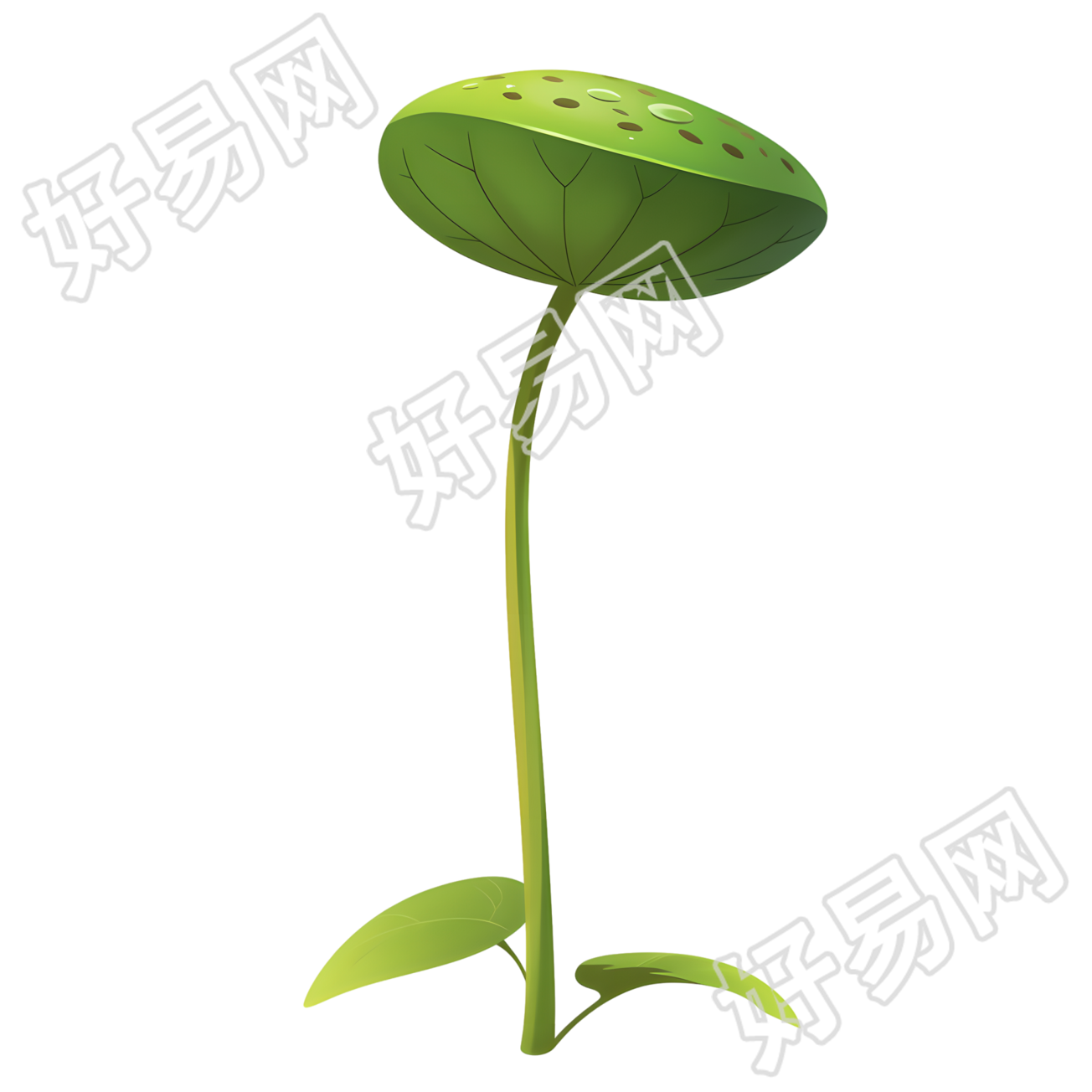 莲蓬图形素材