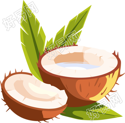 椰汁商用插画