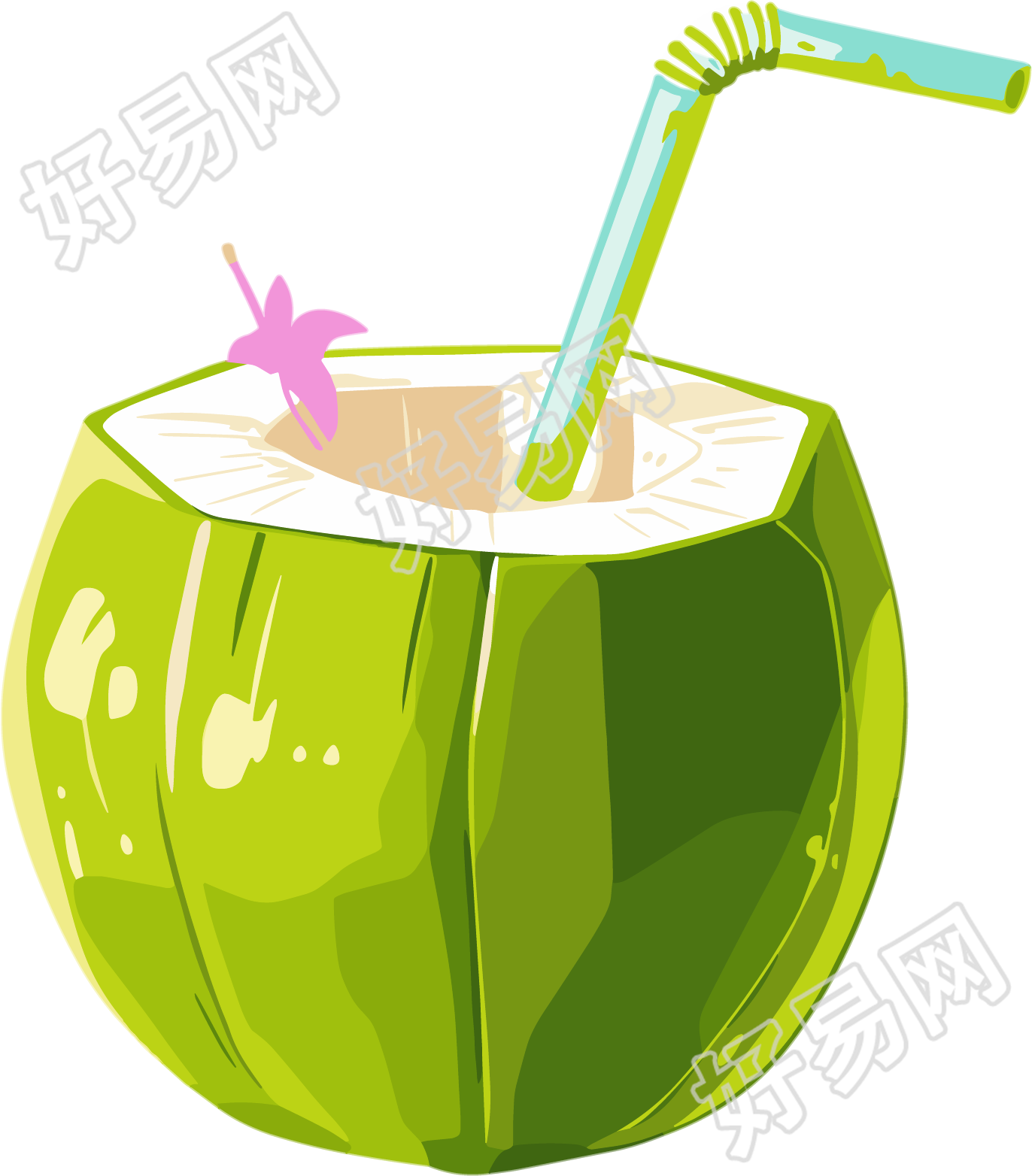 椰汁插图素材