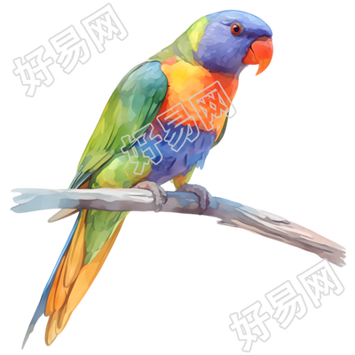水彩鸟创意设计元素
