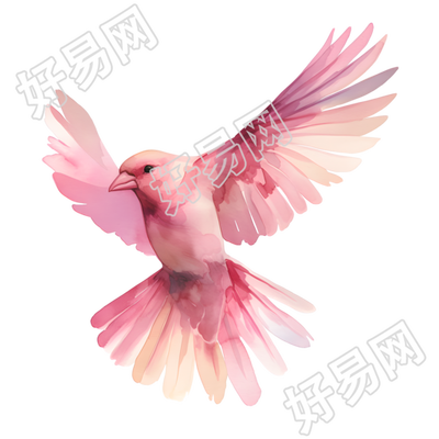 水彩鸟透明背景元素