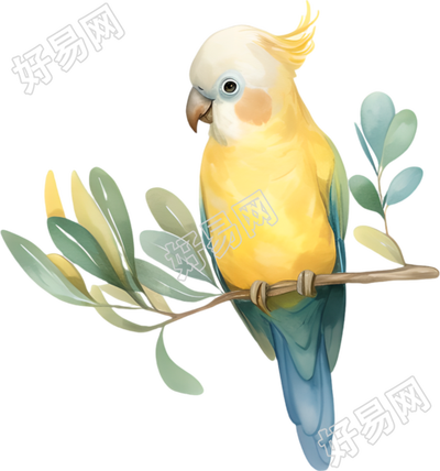水彩鸟透明背景插画