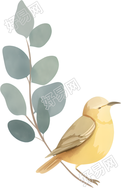 水彩鸟商业设计素材